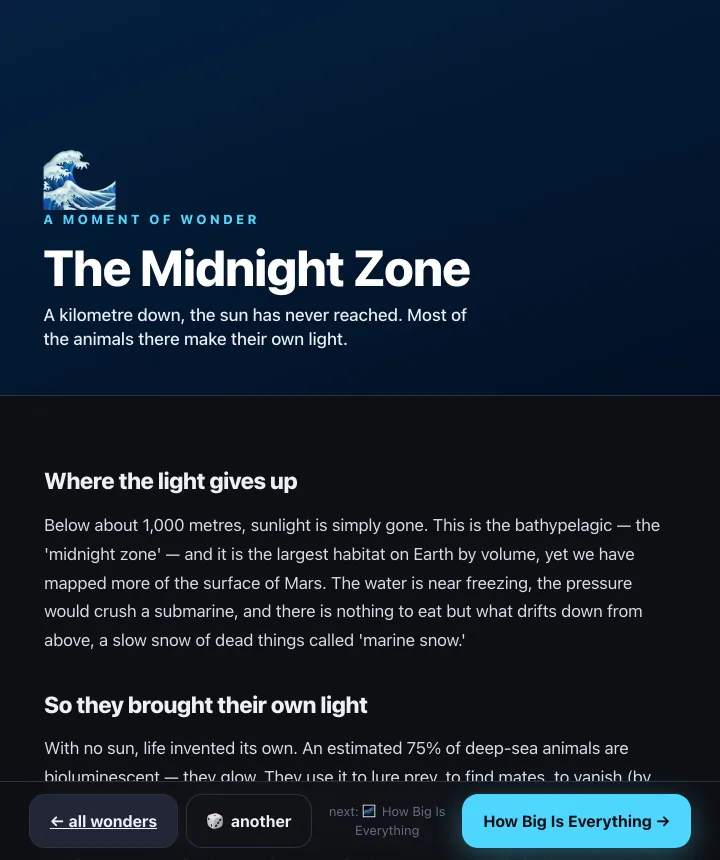 BoringRedirect screenshot
